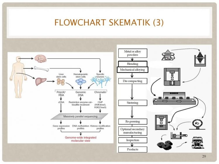 Contoh Flowchart Skematik Contoh Waouw Otosection Riset