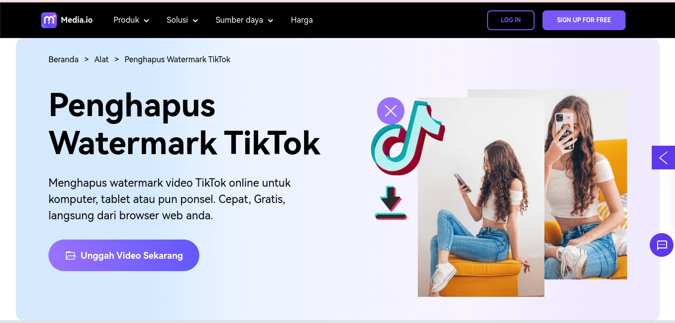 Hapus Watermark Tik Tok Online Gratis