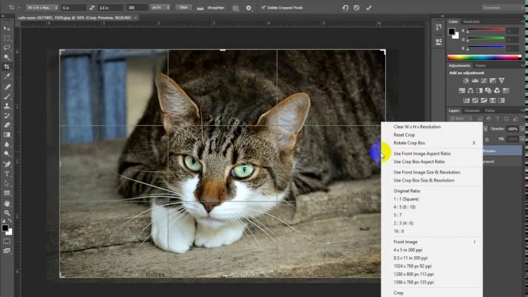 Cara Cetak Foto Ukuran 3R dengan Aplikasi Photoshop