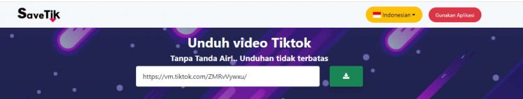 Download TikTok di SaveTik