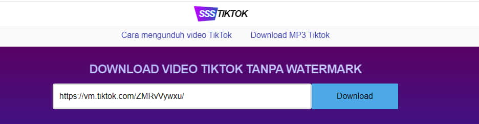 Download Video TikTok SSSTikTok