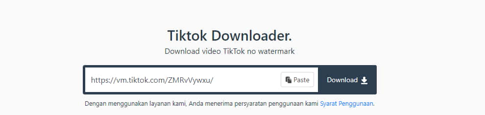 TikTok Downloader Gratis