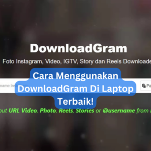 Cara Menggunakan DownloadGram Di Laptop Terbaik!