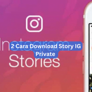 2 Cara Download Story IG Private