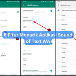 6 Fitur Menarik Aplikasi Sound of Text WA