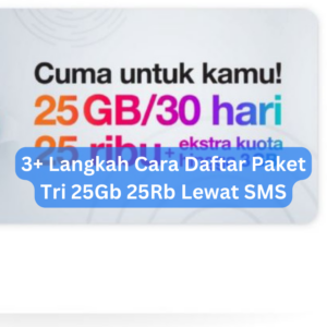 3+ Langkah Cara Daftar Paket Tri 25Gb 25Rb Lewat SMS