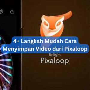 4+ Langkah Mudah Cara Menyimpan Video dari Pixaloop