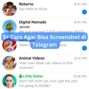 5+ Cara Agar Bisa Screenshot di Telegram