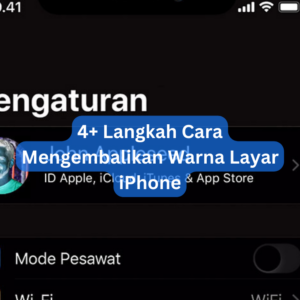 4+ Langkah Cara Mengembalikan Warna Layar iPhone