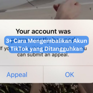 3+ Cara Mengembalikan Akun TikTok yang Ditangguhkan